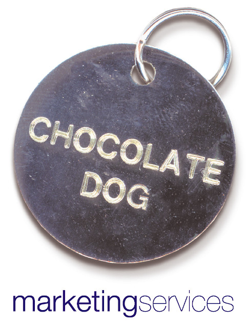 Chocolate Dog